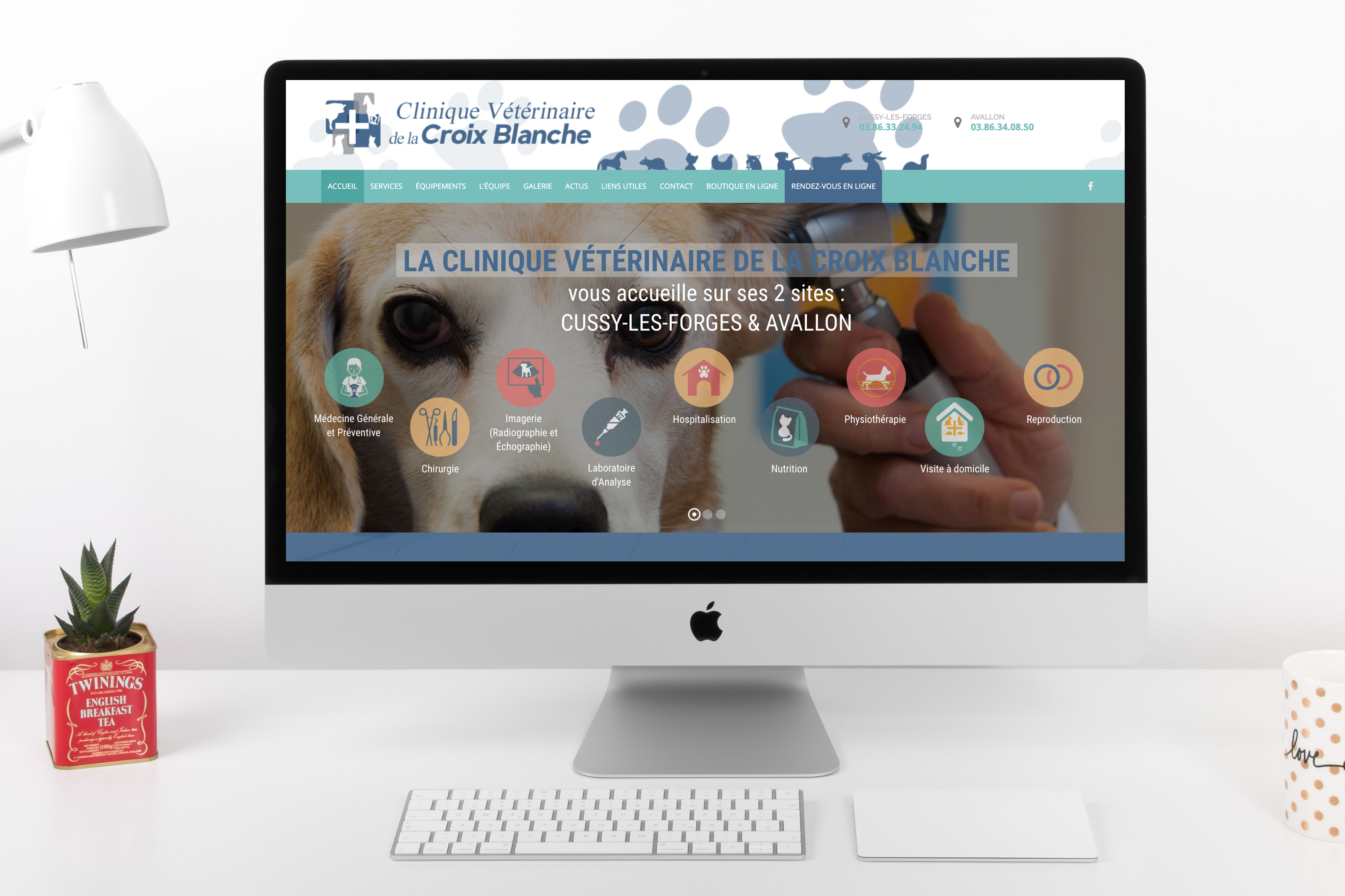 Création du site internet de la Clinique Vétérinaire La Croix Blanche